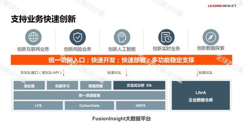 華為金融大數(shù)據(jù)解決方案的軟件開發(fā)實踐