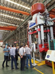 海源耐火材料液壓機順利通過中東兩大不同客戶廠內驗收