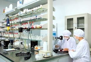 上海化妝品加工專業(yè)技術(shù)服務(wù)